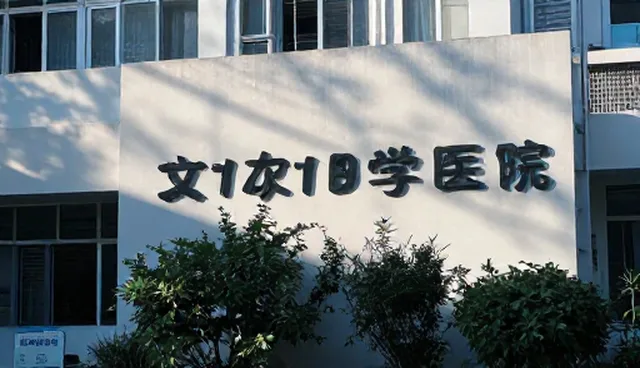 企业展示服务如何提升信息管理效率
